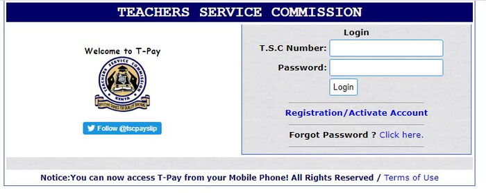 A screengrab of TSC - TPAY Website, where teachers access online payslips