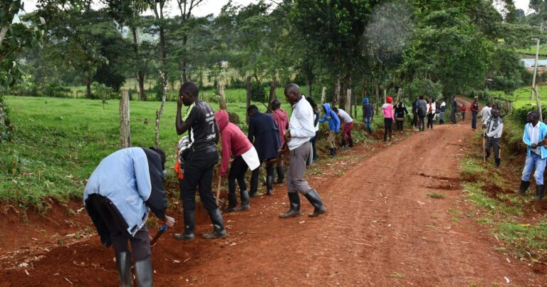 Youths enganging in Kazi mtaani